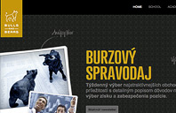 bullsandbears.sk
